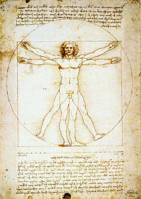 Vitruvian Man (classic male nude print)